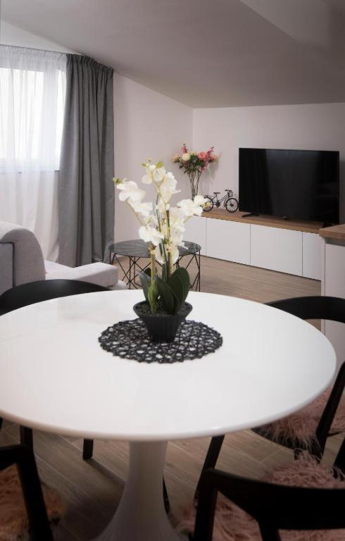 J&j With Swimming Pool Apartment Podstrana